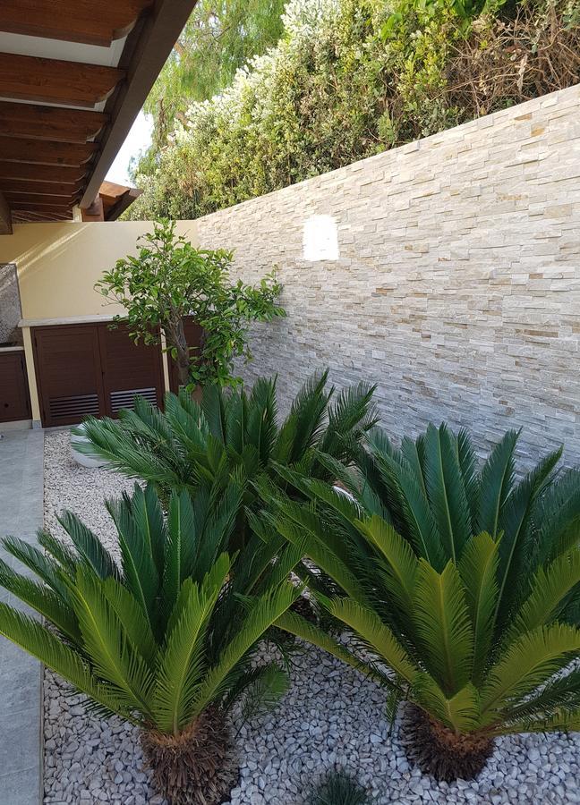 B&B Aloe Comfort Rooms San Vito Lo Capo Zewnętrze zdjęcie