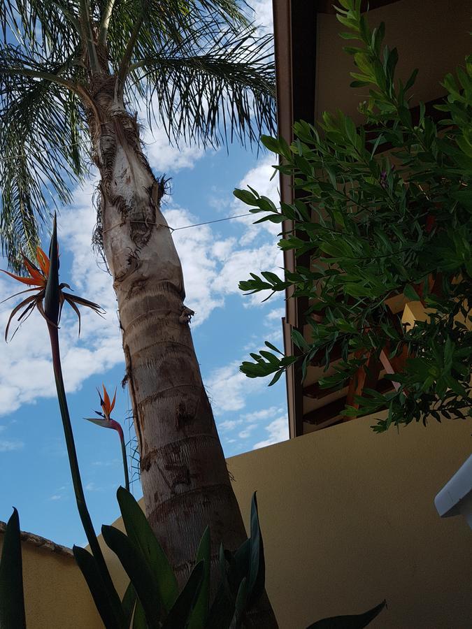 B&B Aloe Comfort Rooms San Vito Lo Capo Zewnętrze zdjęcie