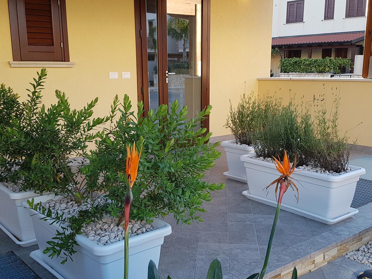 B&B Aloe Comfort Rooms San Vito Lo Capo Zewnętrze zdjęcie