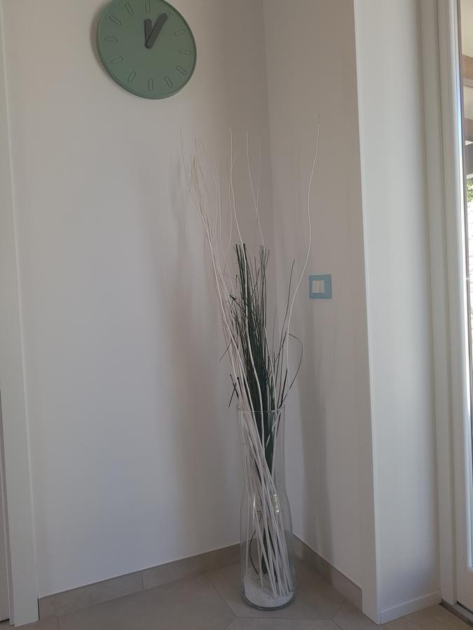 B&B Aloe Comfort Rooms San Vito Lo Capo Zewnętrze zdjęcie